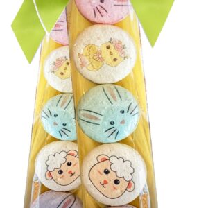 Easter Macaron gift 5